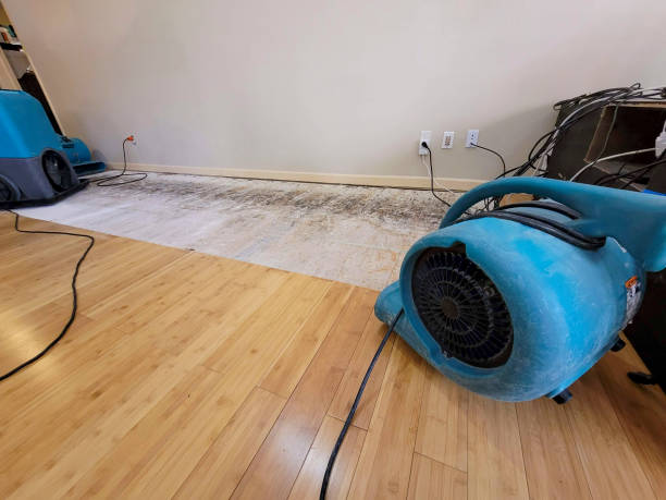Professional Ceiling Water Damage Repair technician working in Lansing, MN